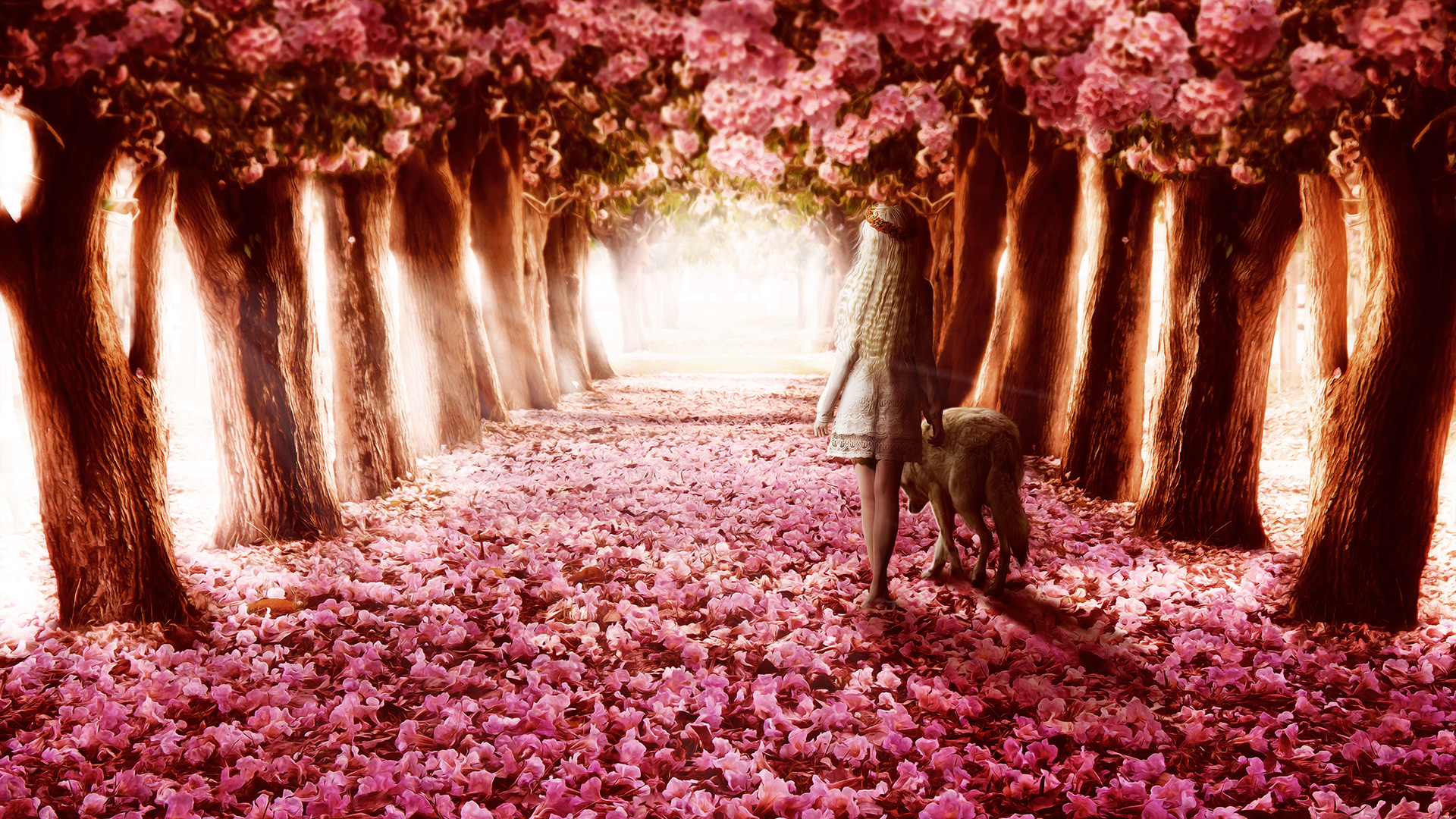 Flower Path6729511815 - Flower Path - path, flower, Dreams